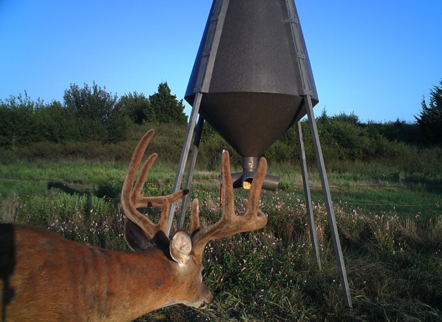 Deer Hunt in KS