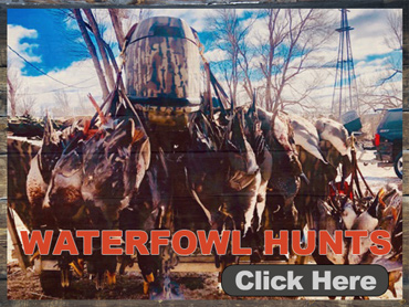 Kansas Waterfowl Hunts