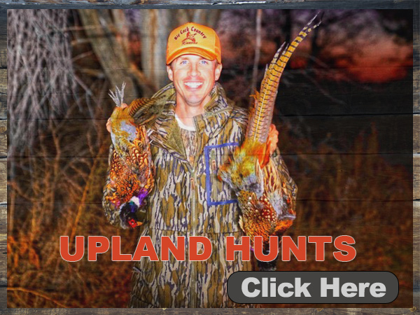 Kansas Upland Bird Hunting