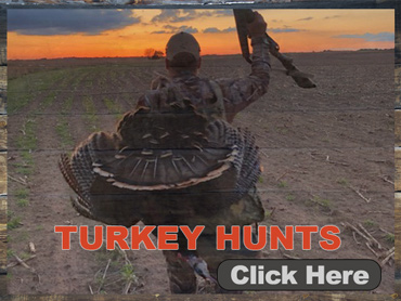 Turkey Hunting in Kansas