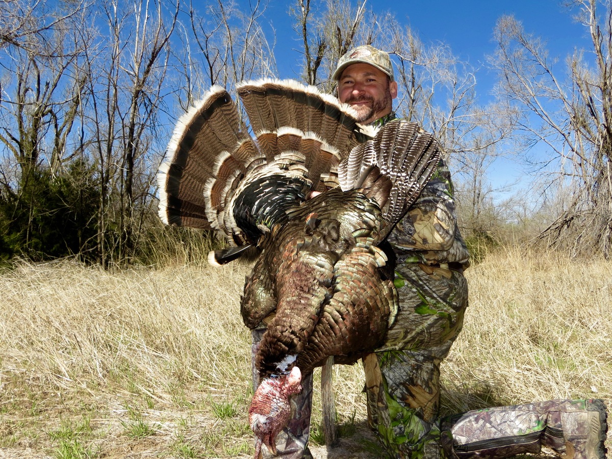 Kansas Turkey Hunts 88 0